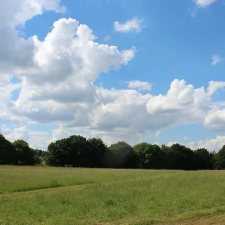 Green Tree Glamping