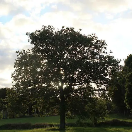 Green Tree Glamping Lantställe