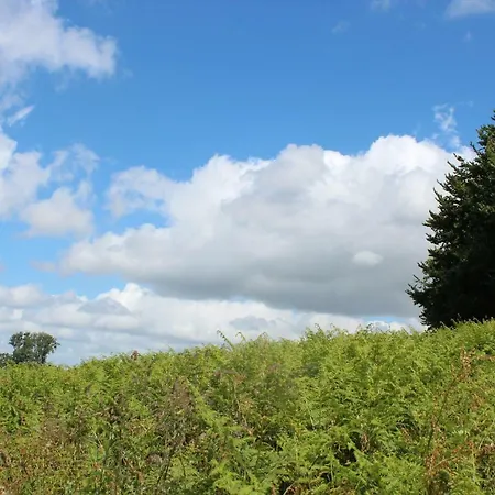 Green Tree Glamping Lantställe *
