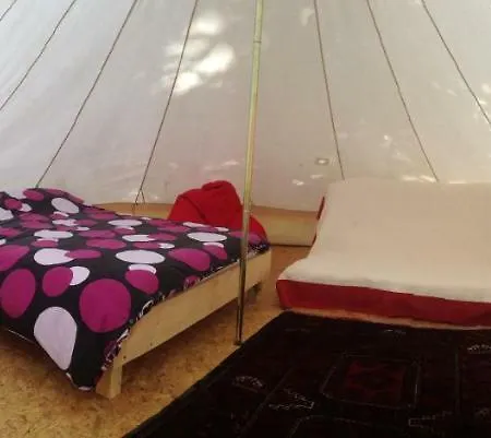 Green Tree Glamping Lantställe Sourdeval