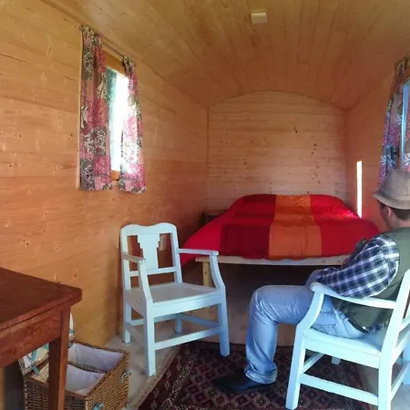 Green Tree Glamping